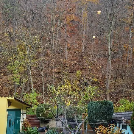 Am Tiergarten Apartamento